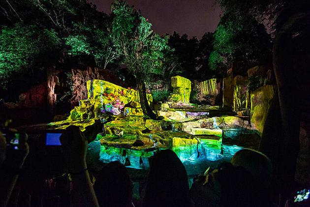 Singapore Zoo Rainforest Lumina 幻光雨林之夜